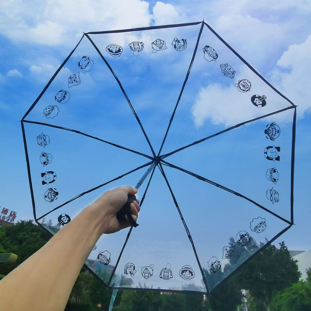 Luffy/Zoro Carry Your Pirate Dream with Transparent Umbrella - Straw Hat Crew by Your Side